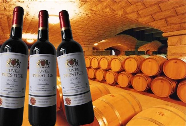 法國原瓶原裝進口紅酒 法國波爾多貴族酒窖2007干紅葡萄酒 吳丹-食品商務-糖酒快訊