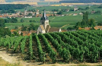 勃艮第---法國(guó)葡萄酒的皇后