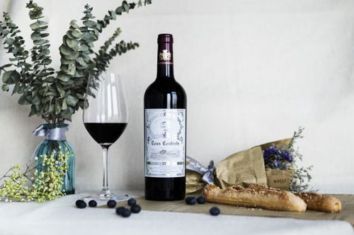 風(fēng)味人間一場醉 法國葡萄酒的醇香之旅