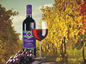 法國波爾多卡諾莎葡萄酒 融入生活的法國葡萄酒藝術(shù)